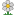 flower_daisy.png